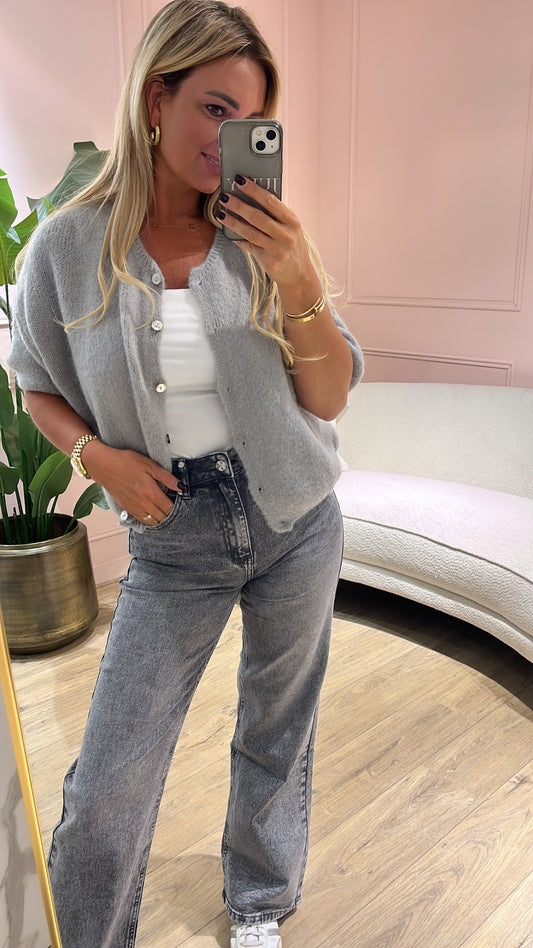 Vest Veerle Licht Grijs