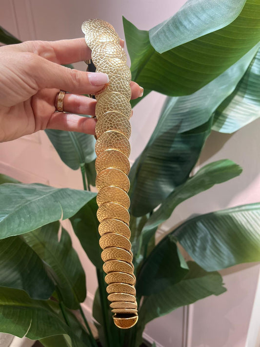 Luxe Coin Belt